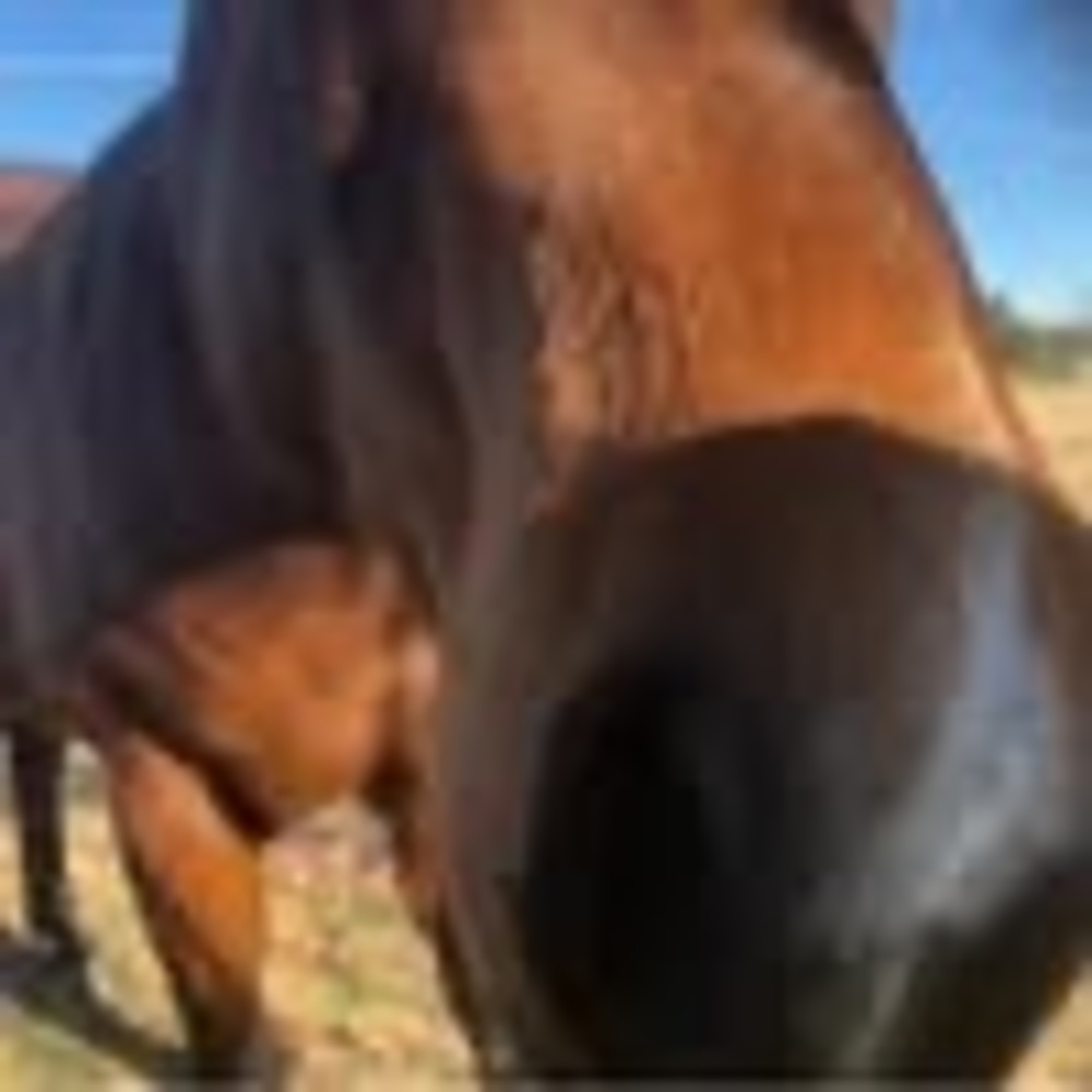 Meet your Posher, Kay